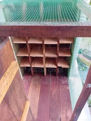 පරවි කූඩුවක්