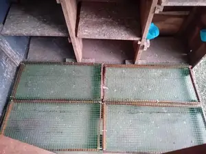 පරවි කූඩුවක්