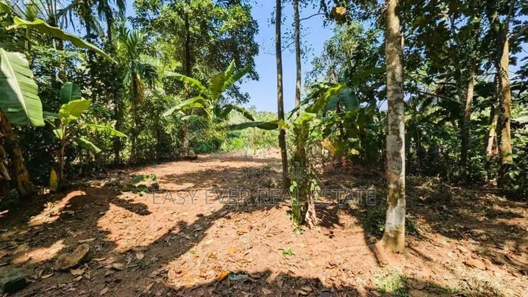කිරිඳිවැලෙන් වටිනා ඉඩමක්