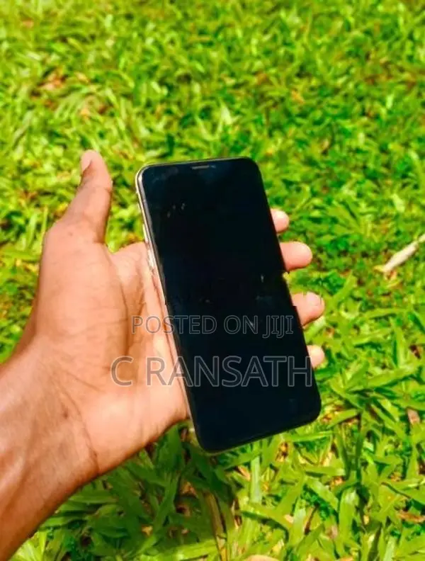 Apple iPhone X 256GB (Used)