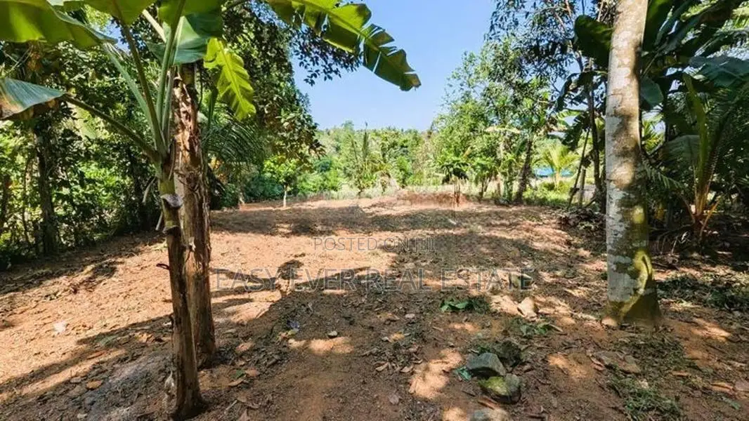 කිරිඳිවැලෙන් වටිනා ඉඩමක්