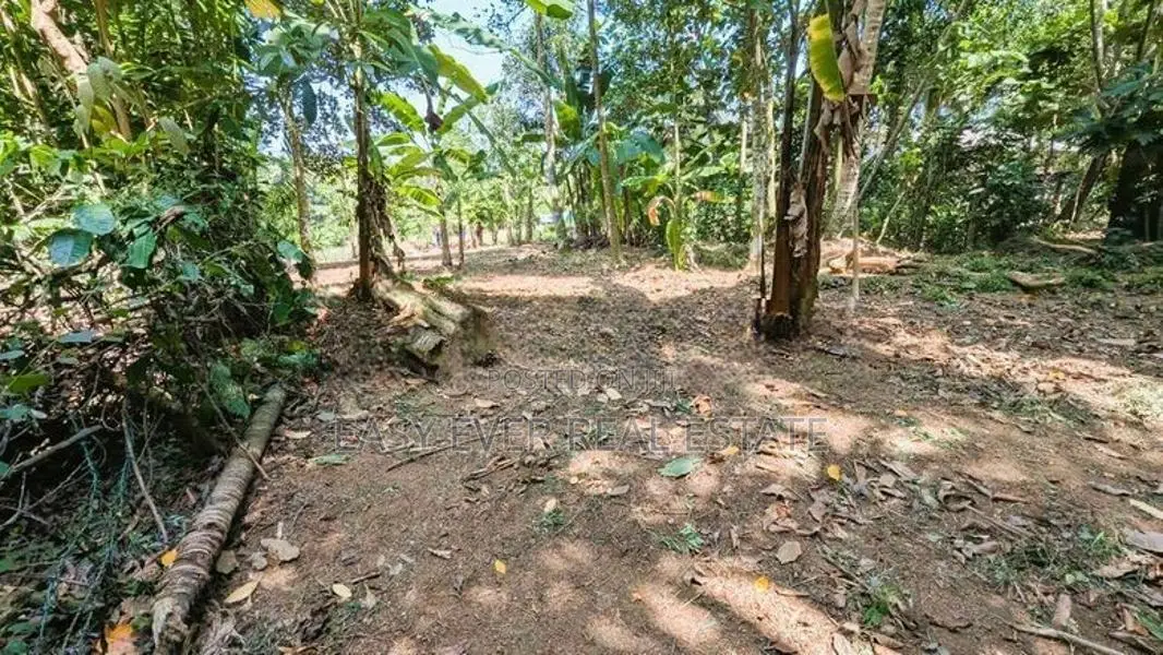 කිරිඳිවැලෙන් වටිනා ඉඩමක්