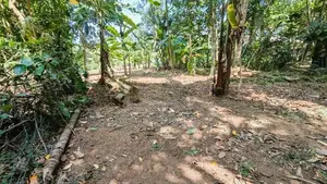 කිරිඳිවැලෙන් වටිනා ඉඩමක්