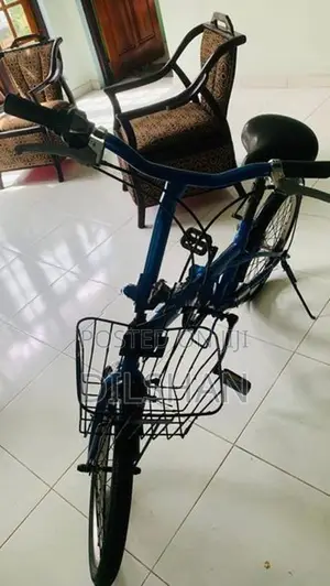 Foldable Bicycle