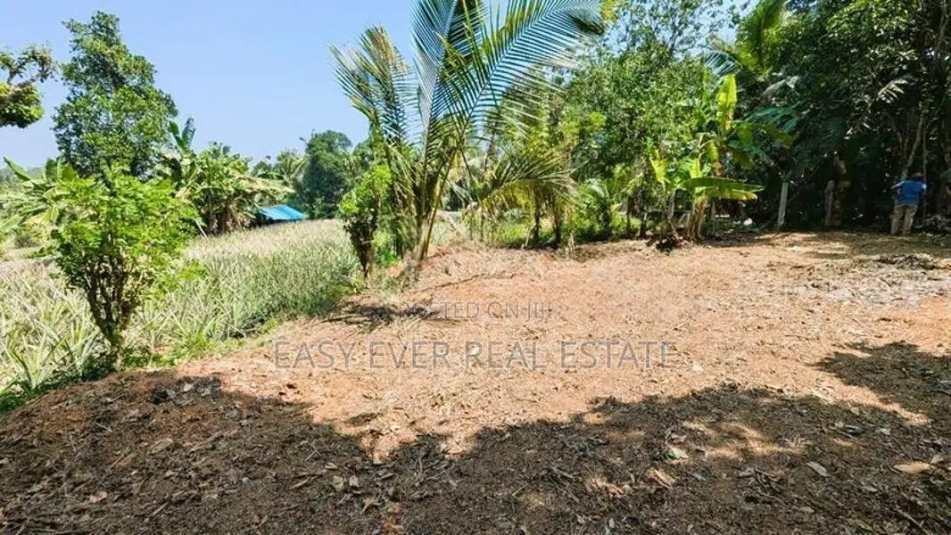 කිරිඳිවැලෙන් වටිනා ඉඩමක්