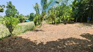 කිරිඳිවැලෙන් වටිනා ඉඩමක්