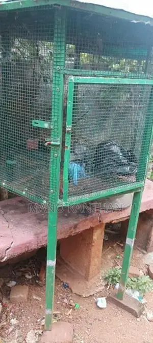 Bird Cage