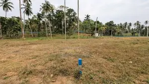 ගම්පහ මිරිස්වත්තෙන් වටිනා ඉඩමක් විකිණීමට