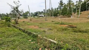 ගම්පහ මිරිස්වත්තෙන් වටිනා ඉඩමක් විකිණීමට