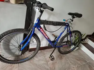 Ignite Bicycle
