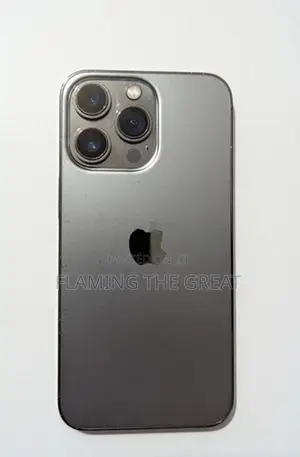 Apple iPhone 13 Pro (Used)