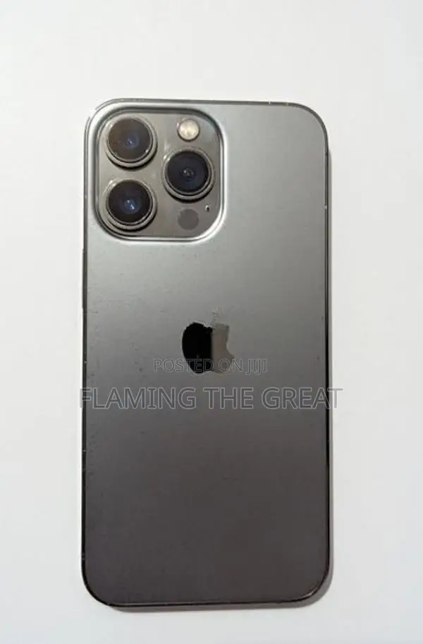 Apple iPhone 13 Pro (Used)