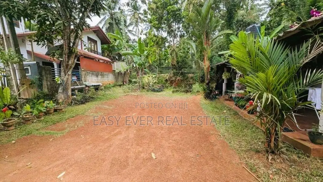 කඩවතින් වටිනා බිම්කොටස්