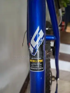 Ignite Bicycle
