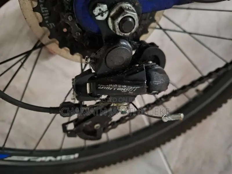 Ignite Bicycle