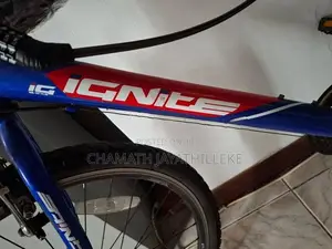 Ignite Bicycle