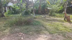 ගනේමුල්ල නගරයෙන් ඉඩමක් විකිණීමට