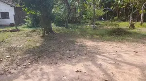 ගනේමුල්ල නගරයෙන් ඉඩමක් විකිණීමට