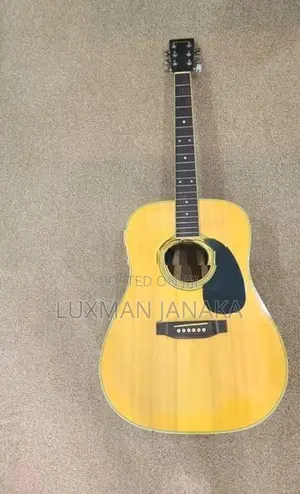 Guitar