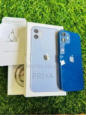 Apple iPhone 12 (Used)