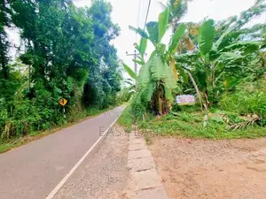 නුවර පාරට ළගින්ම වටිනා ඉඩමක් Nittambuwa