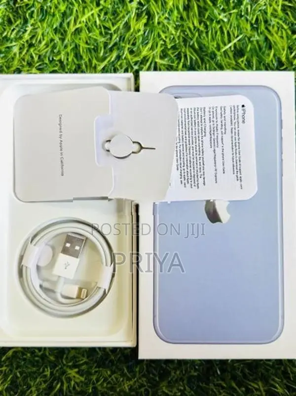 Apple iPhone 12 (Used)