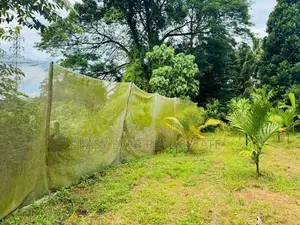 නිට්ටඹුවෙන් වෙල් යායකට මායිම් අගනා ඉඩමක්