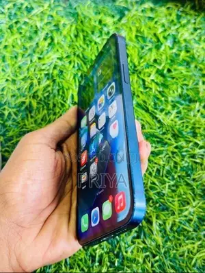 Apple iPhone 12 (Used)