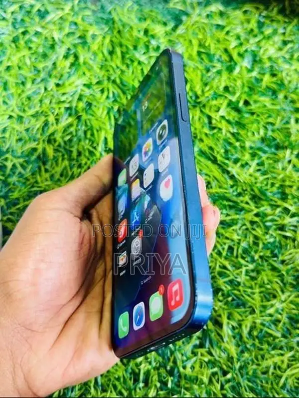 Apple iPhone 12 (Used)