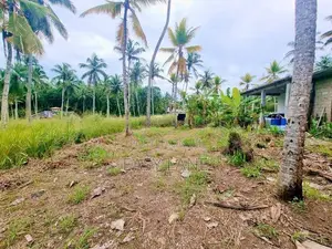 නුවර පාරට ළගින්ම වටිනා ඉඩමක් Nittambuwa