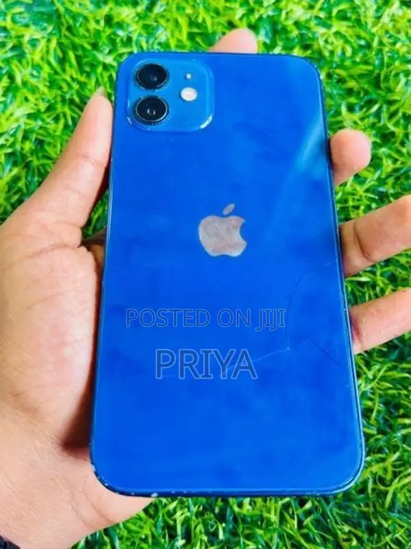 Apple iPhone 12 (Used)