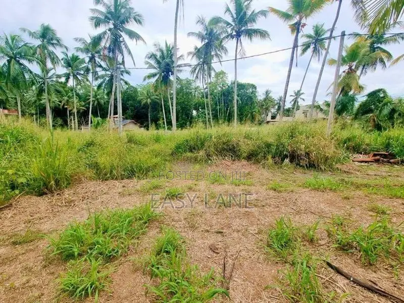 නුවර පාරට ළගින්ම වටිනා ඉඩමක් Nittambuwa