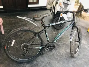 Lumala Bicycle
