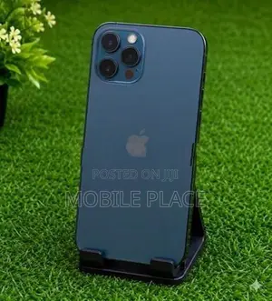 Apple iPhone 12 Pro 256GB (Used)