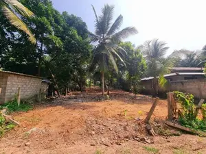 දිවුලපිටියෙන් ඉඩම් කැබලි 2ක්