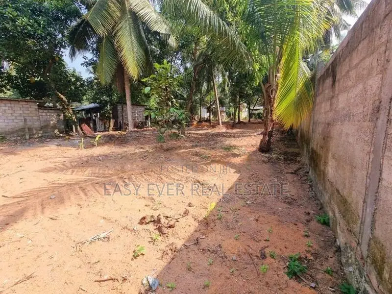 දිවුලපිටියෙන් ඉඩම් කැබලි 2ක්