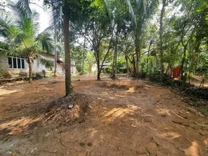 දිවුලපිටියෙන් ඉඩම් කැබලි 2ක්