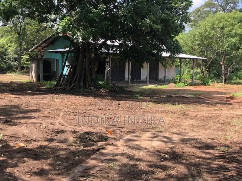 House With Land For Sale - Maradankadawala
