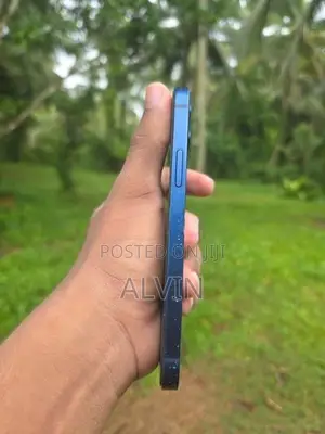 Apple iPhone 12 (Used)