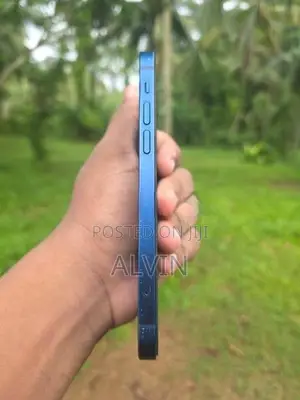 Apple iPhone 12 (Used)