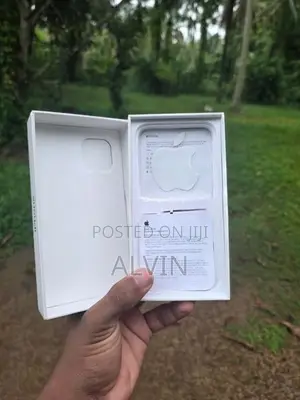 Apple iPhone 12 (Used)