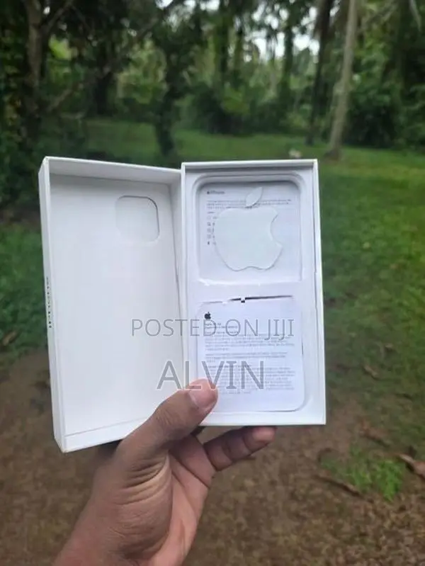 Apple iPhone 12 (Used)