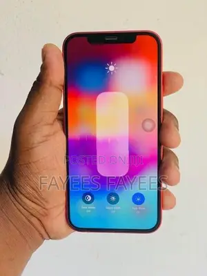 Apple iPhone 12 (Used)
