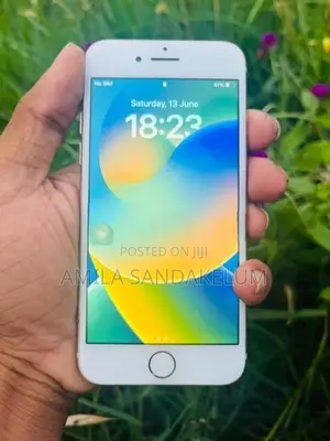 Apple iPhone 8 (Used)