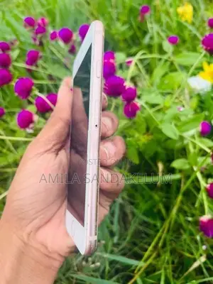 Apple iPhone 8 (Used)