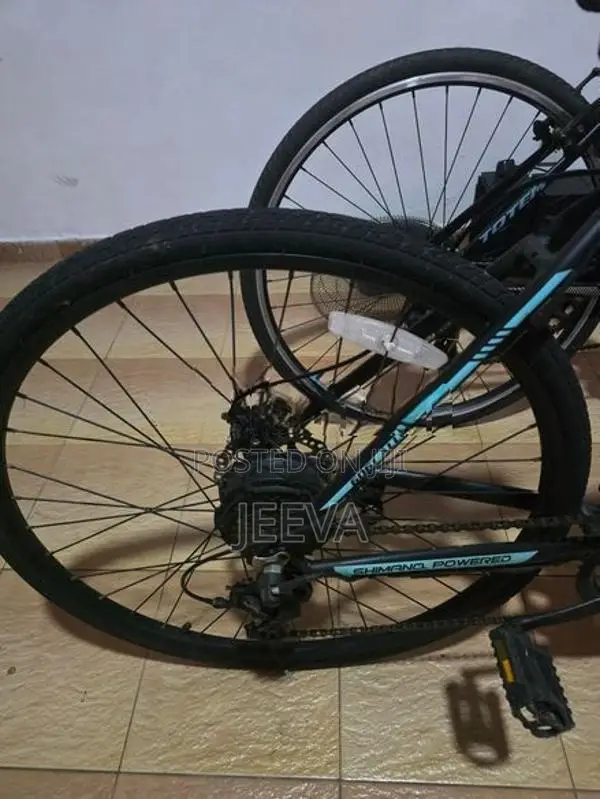 Electric Bicycle