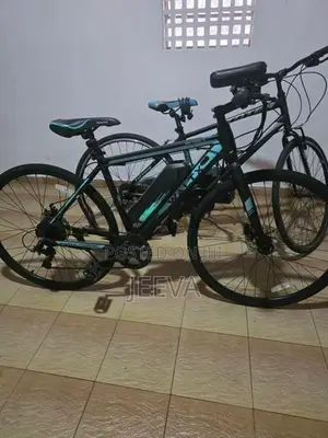 Electric Bicycle