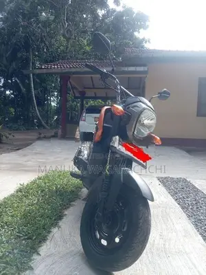 Honda Navi 2017