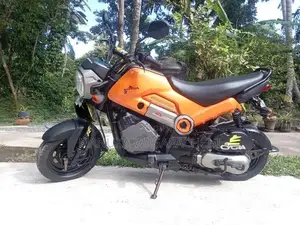 Honda Navi 2017