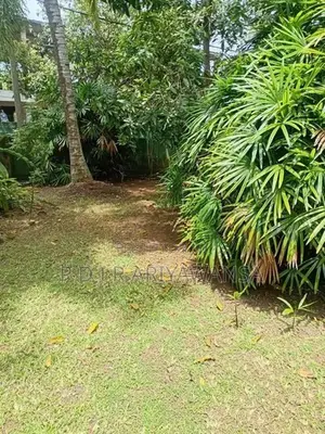 කිරිබත්ගොඩ නගරයෙන්ම පර්චස් 25ක බිම් කොටසක්